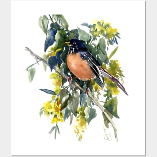 American Robin Posters and Art